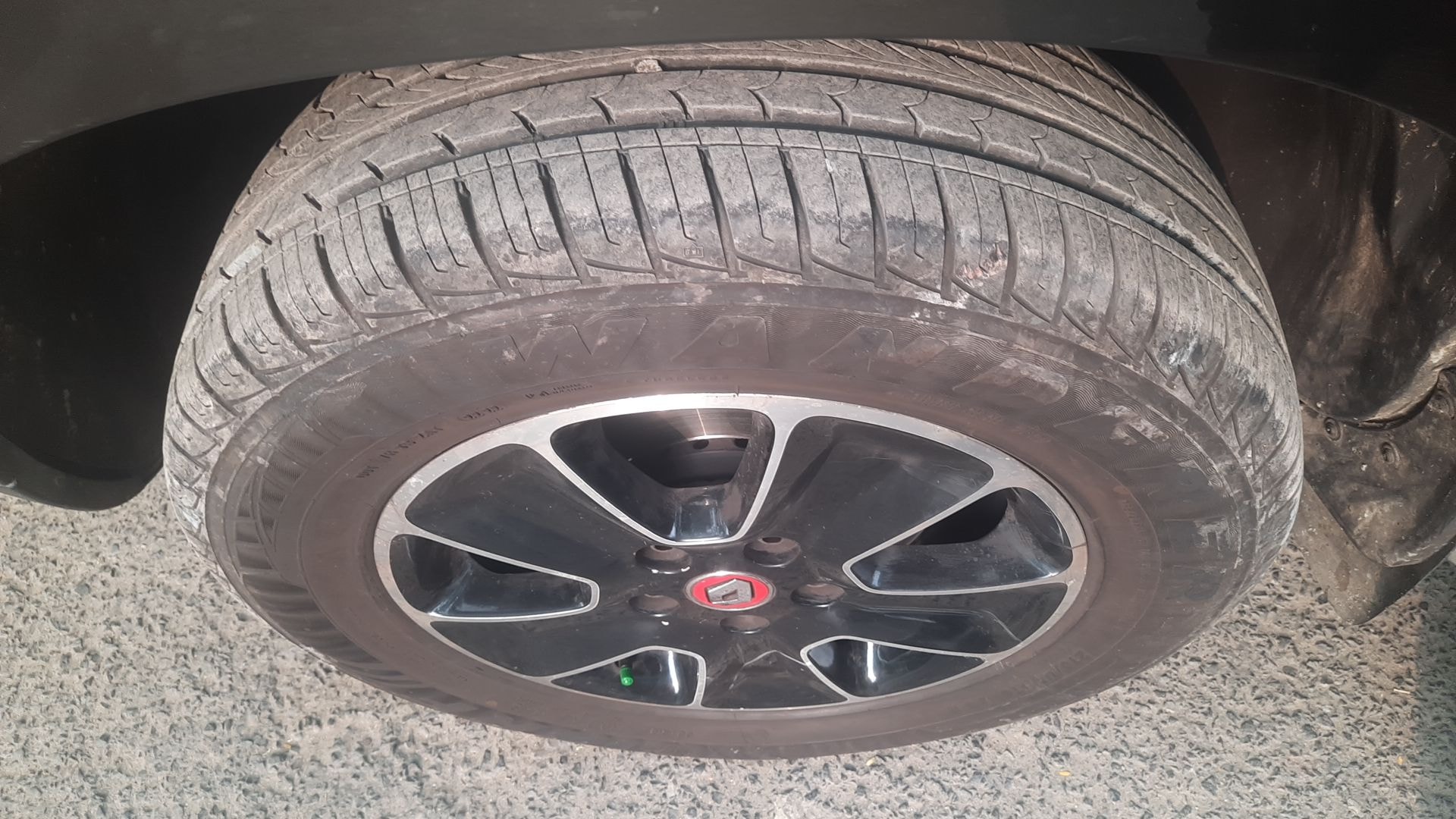 Duster image 12 Duster image 12