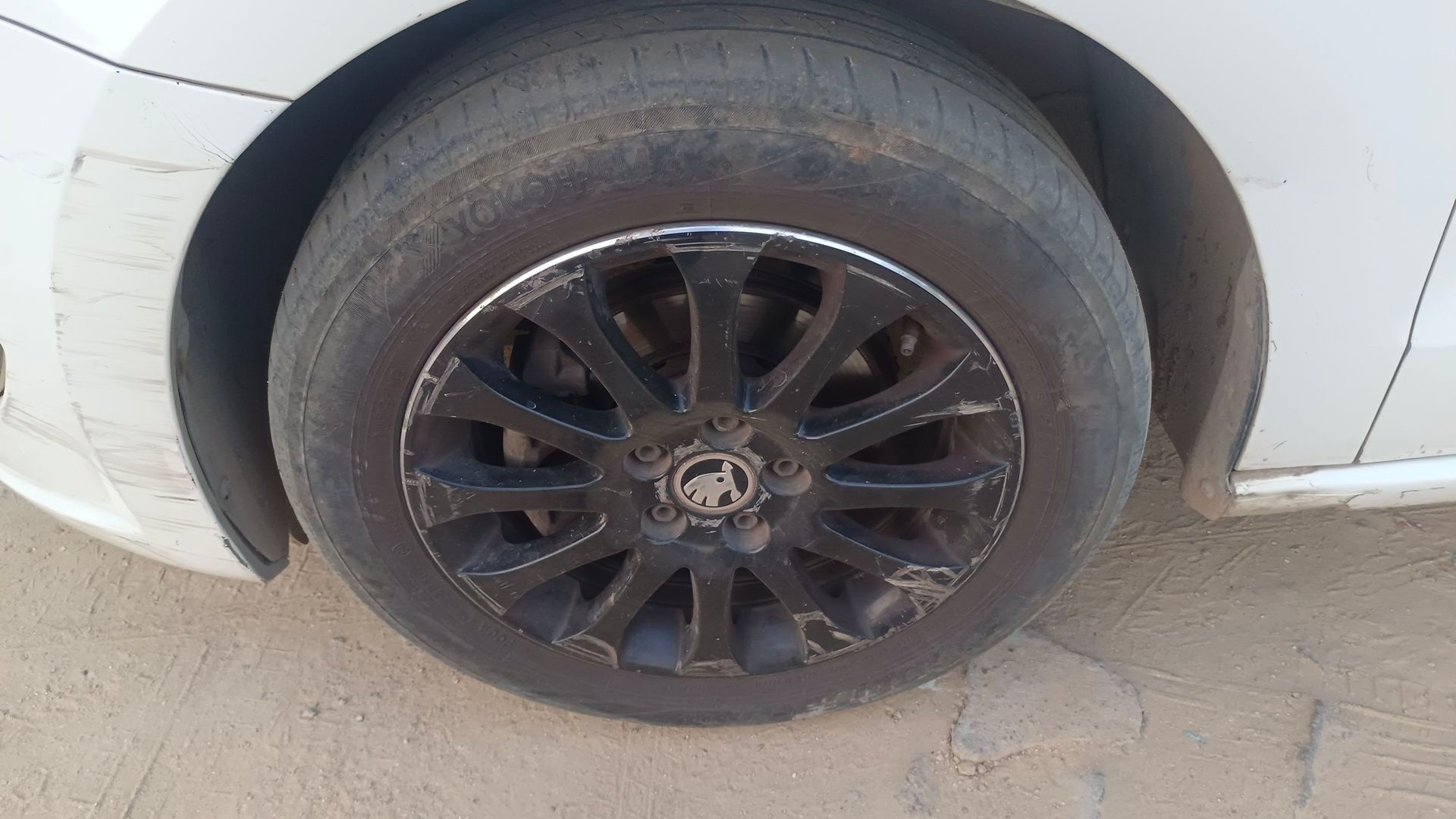 Rapid image 12 Rapid image 12