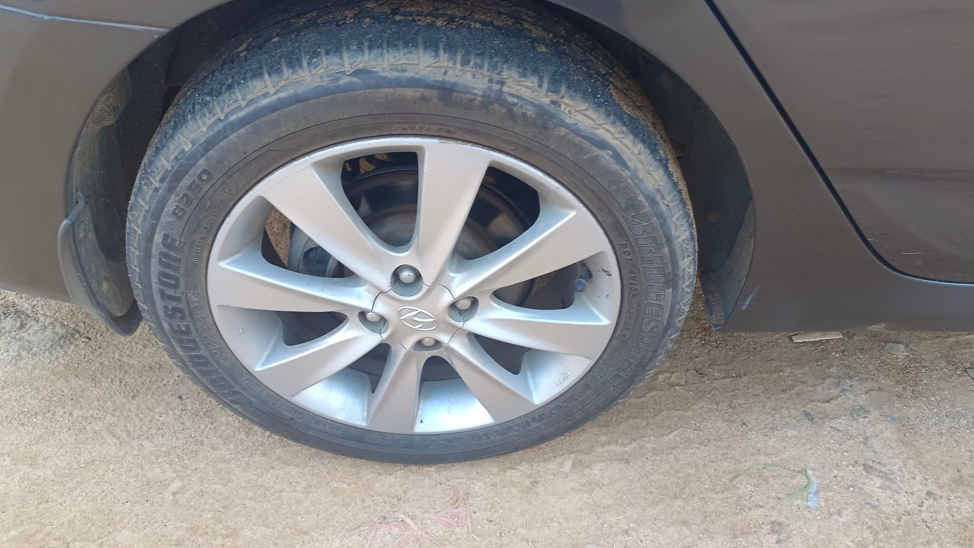 Verna image 13 Verna image 13