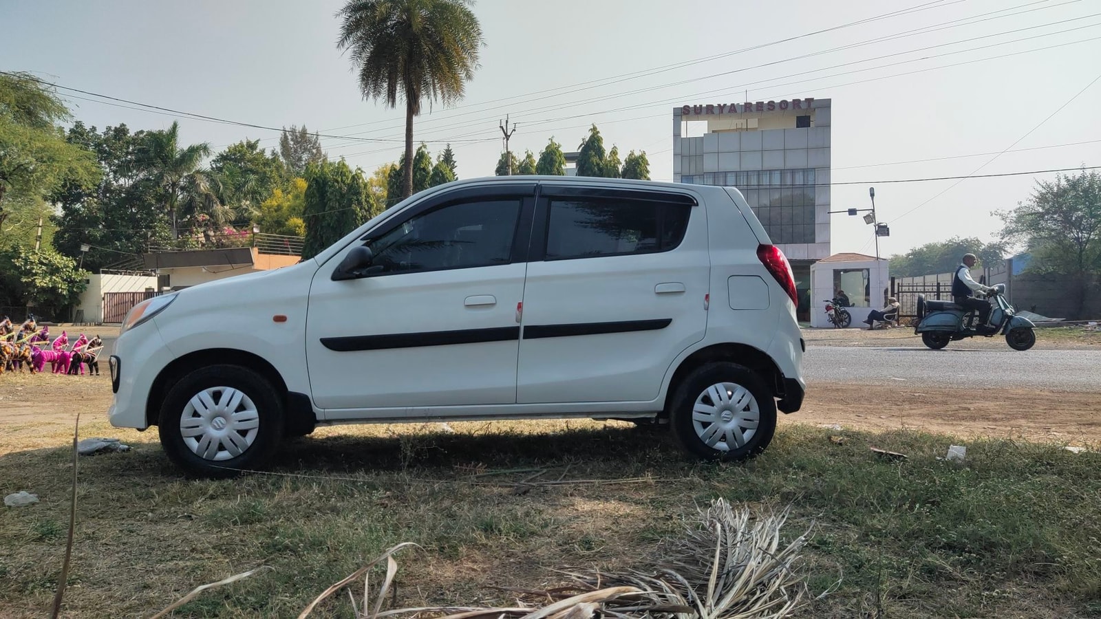 Alto 800 image 2 Alto 800 image 2