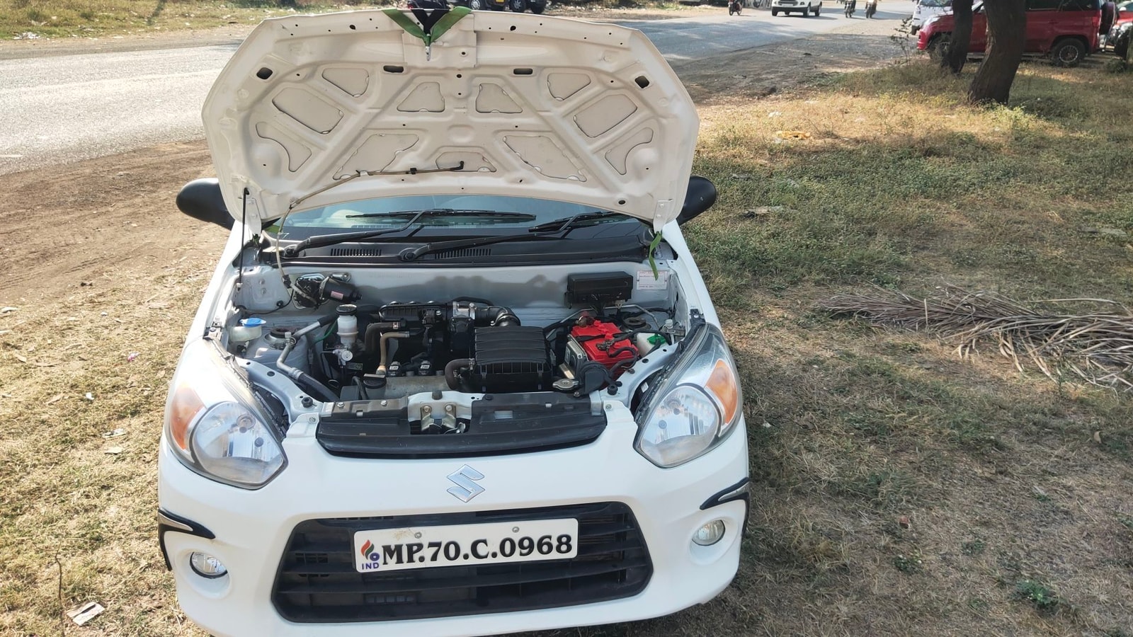 Alto 800 image 14 Alto 800 image 14