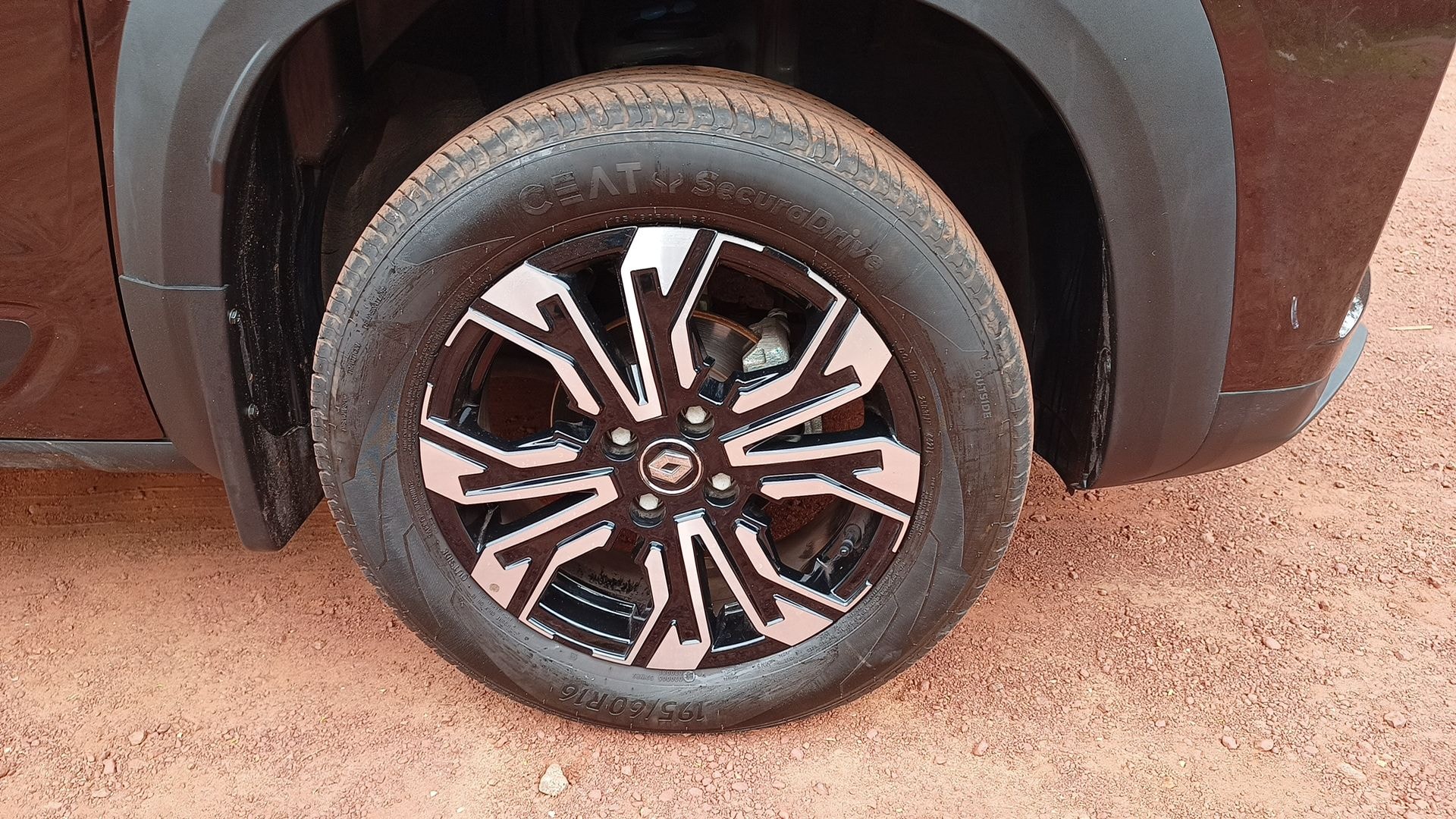 Kiger image 13 Kiger image 13