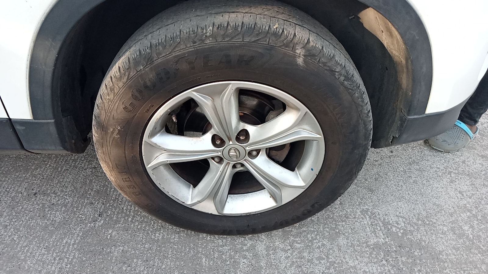 Harrier image 9 Harrier image 9