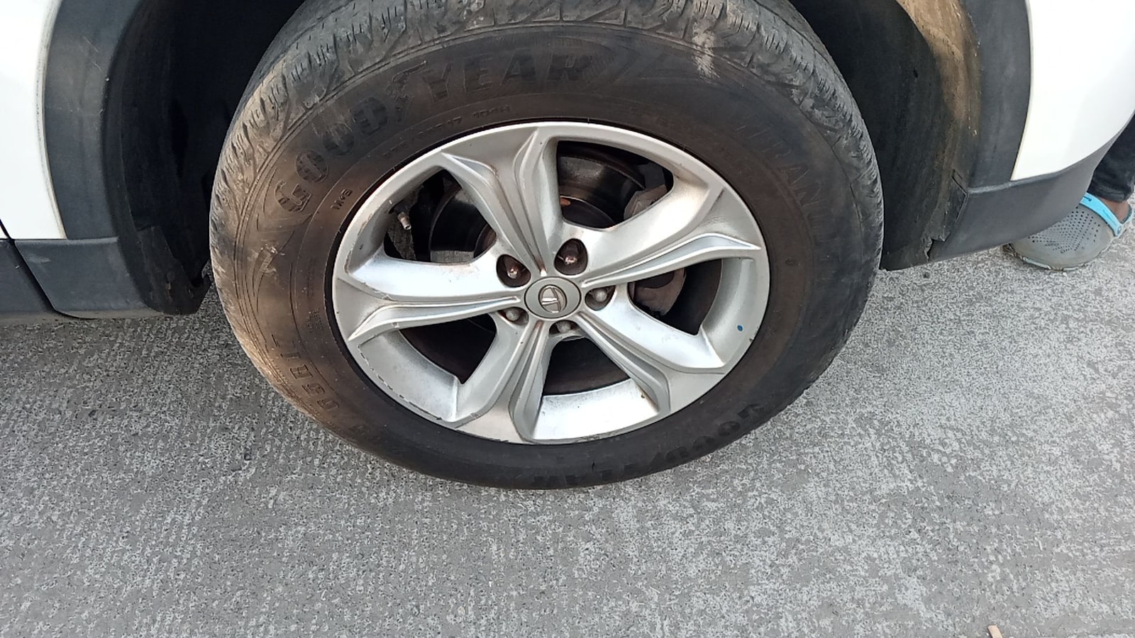 Harrier image 11 Harrier image 11