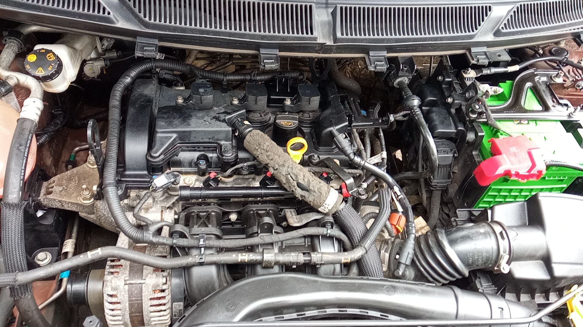 Freestyle image 14 Freestyle image 14