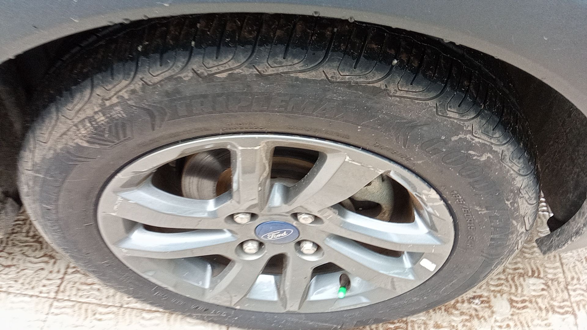 Freestyle image 13 Freestyle image 13