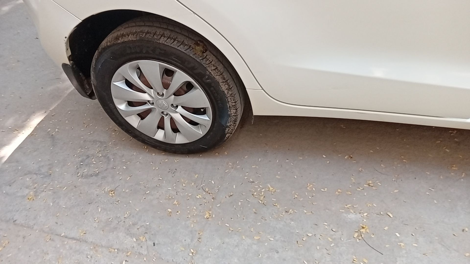 Baleno image 12 Baleno image 12