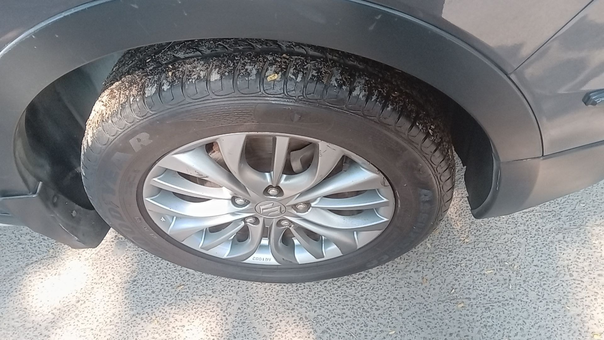 S-Cross image 11 S-Cross image 11