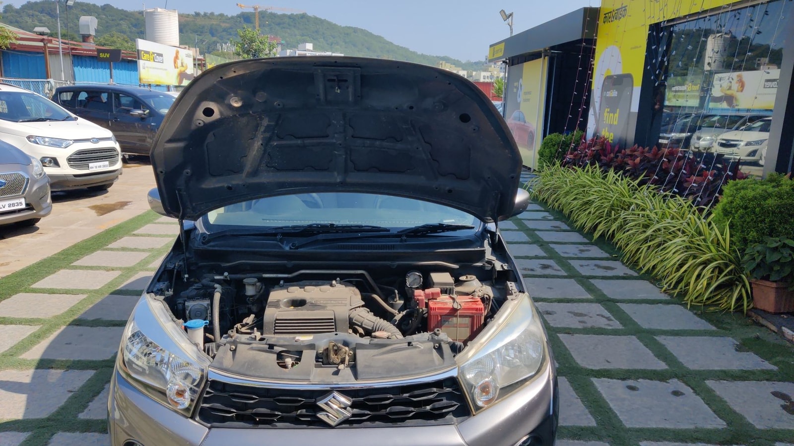 Celerio image 13 Celerio image 13