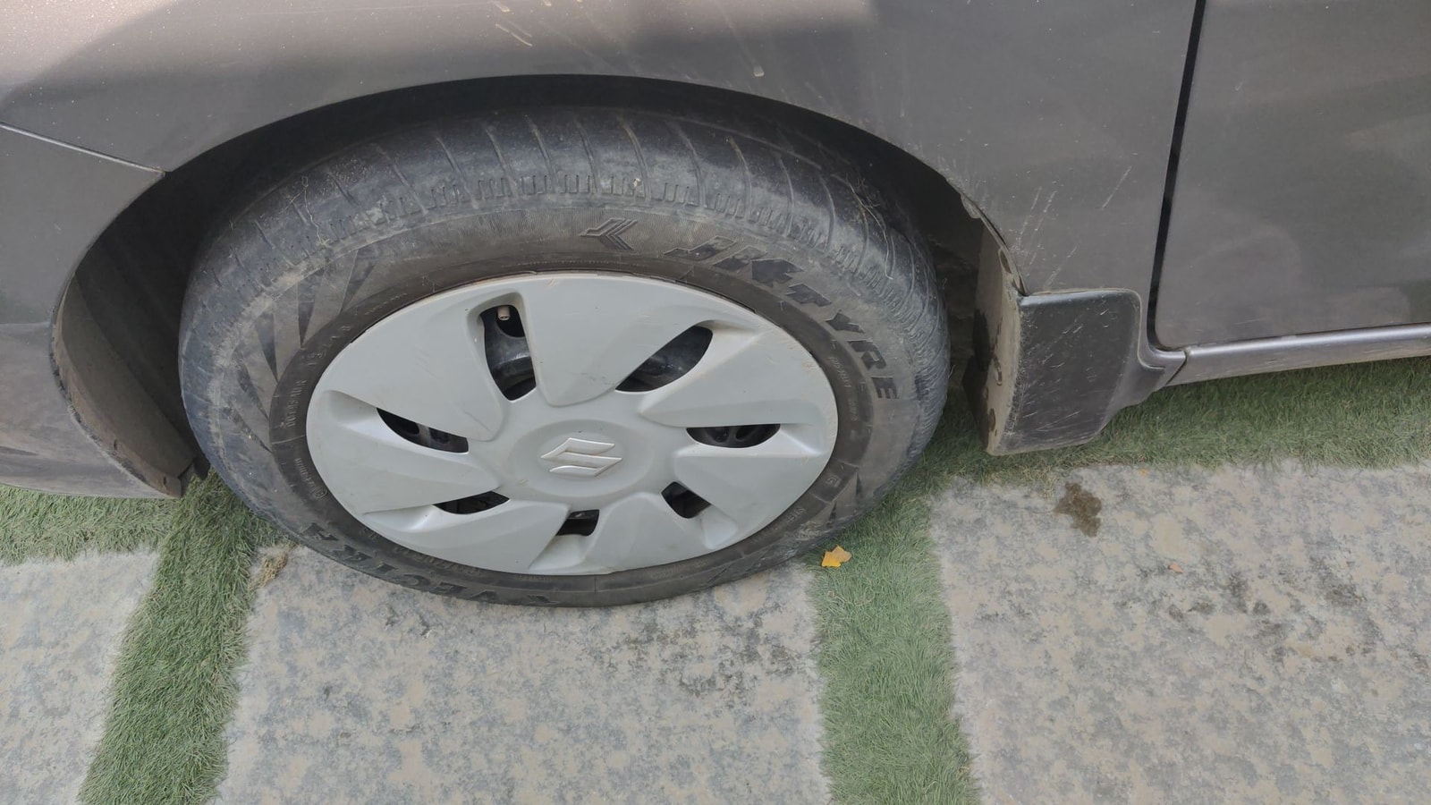 Celerio image 5 Celerio image 5