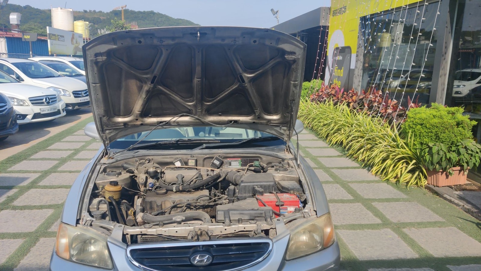 Accent image 13 Accent image 13