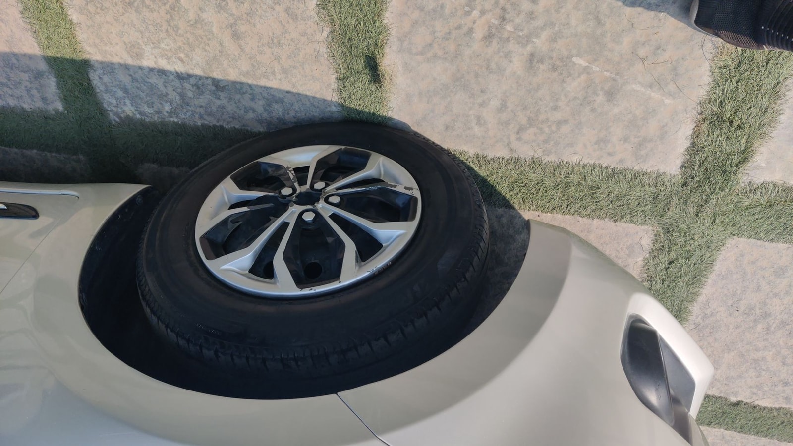 Swift image 11 Swift image 11