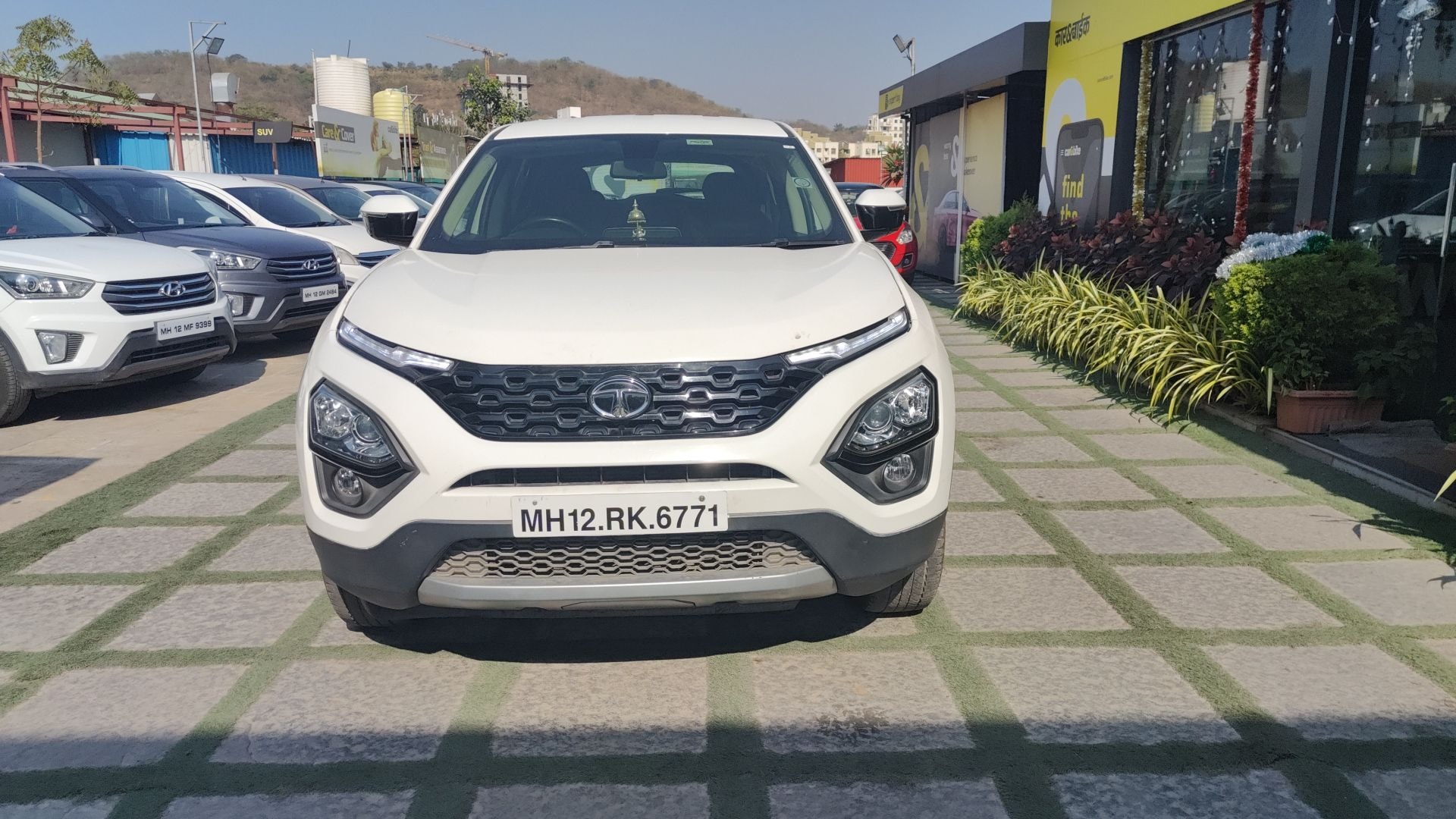 Harrier image 9 Harrier image 9