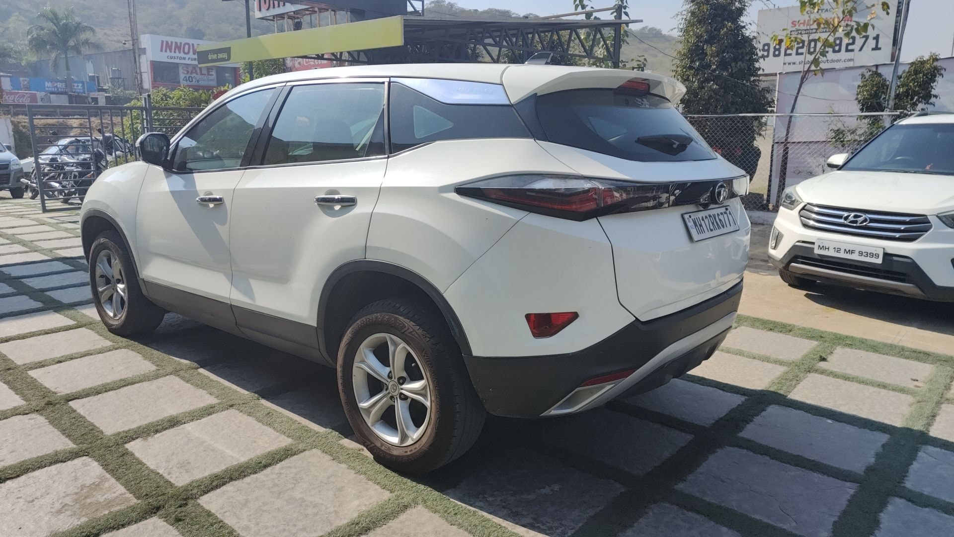 Harrier image 3 Harrier image 3