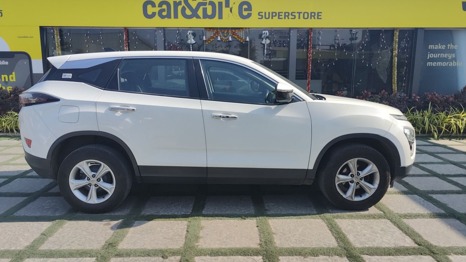 Harrier image 7 Harrier image 7