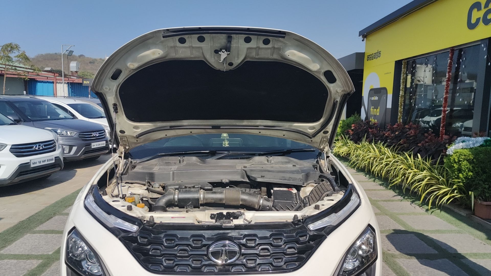 Harrier image 13 Harrier image 13