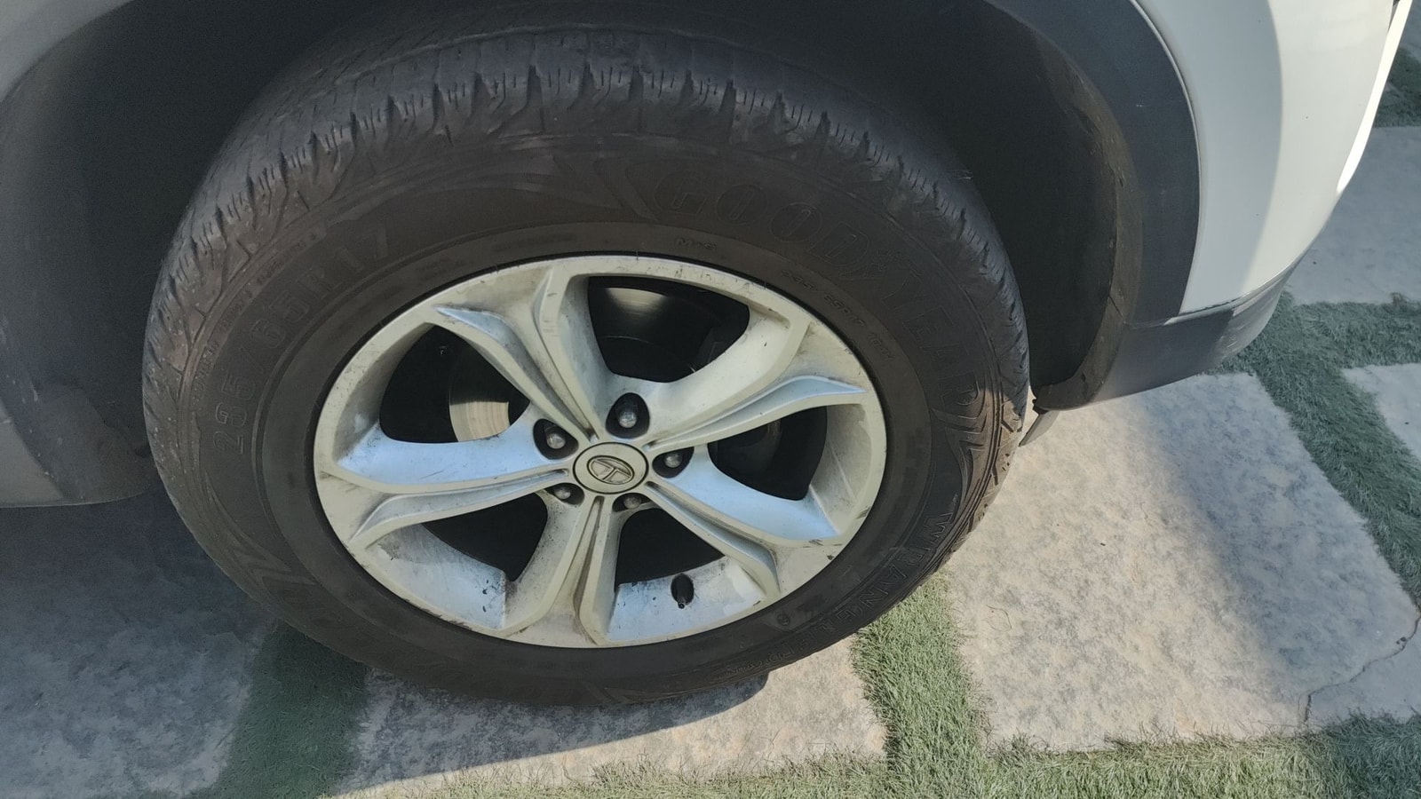 Harrier image 10 Harrier image 10