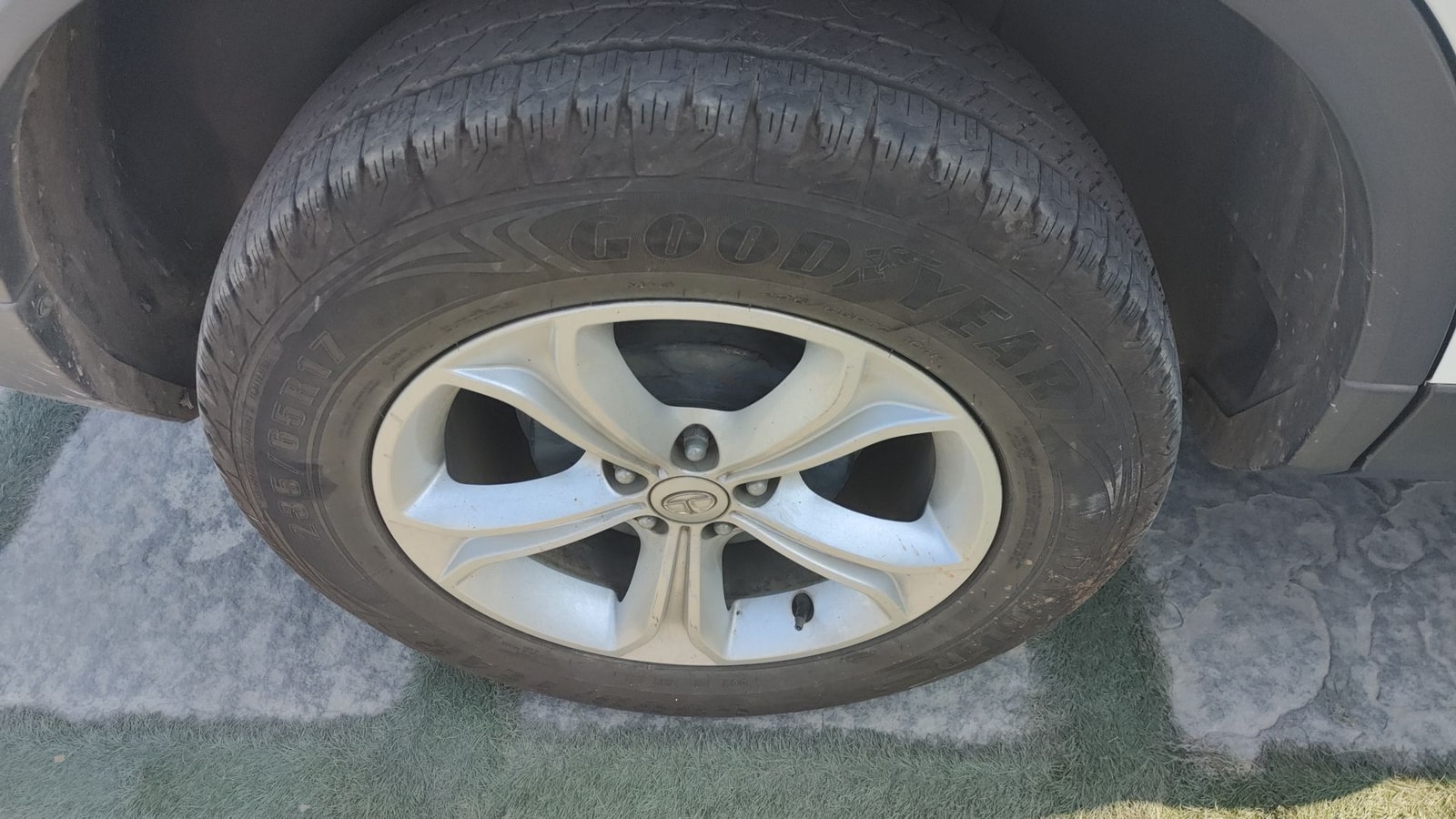 Harrier image 12 Harrier image 12