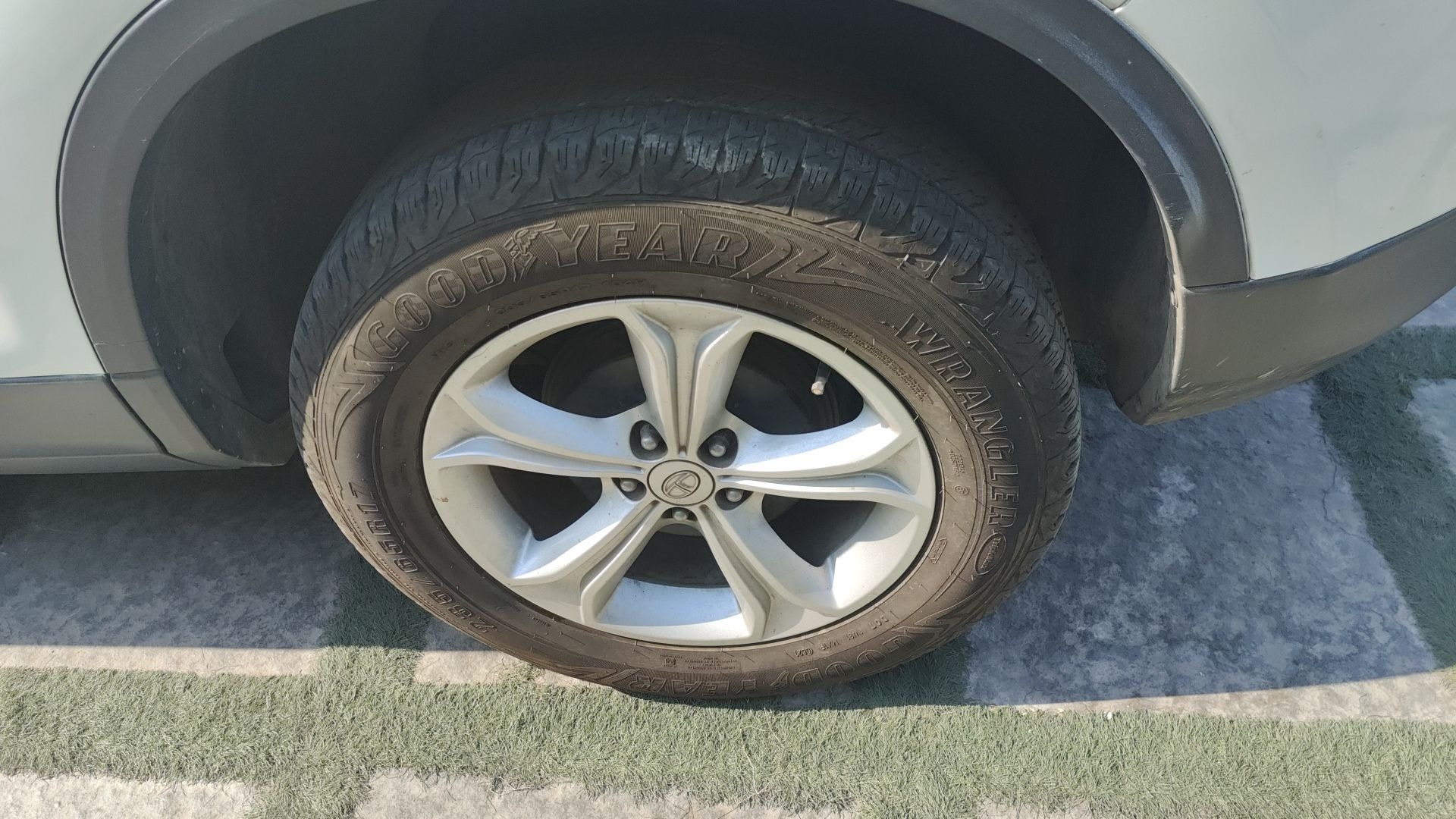 Harrier image 11 Harrier image 11