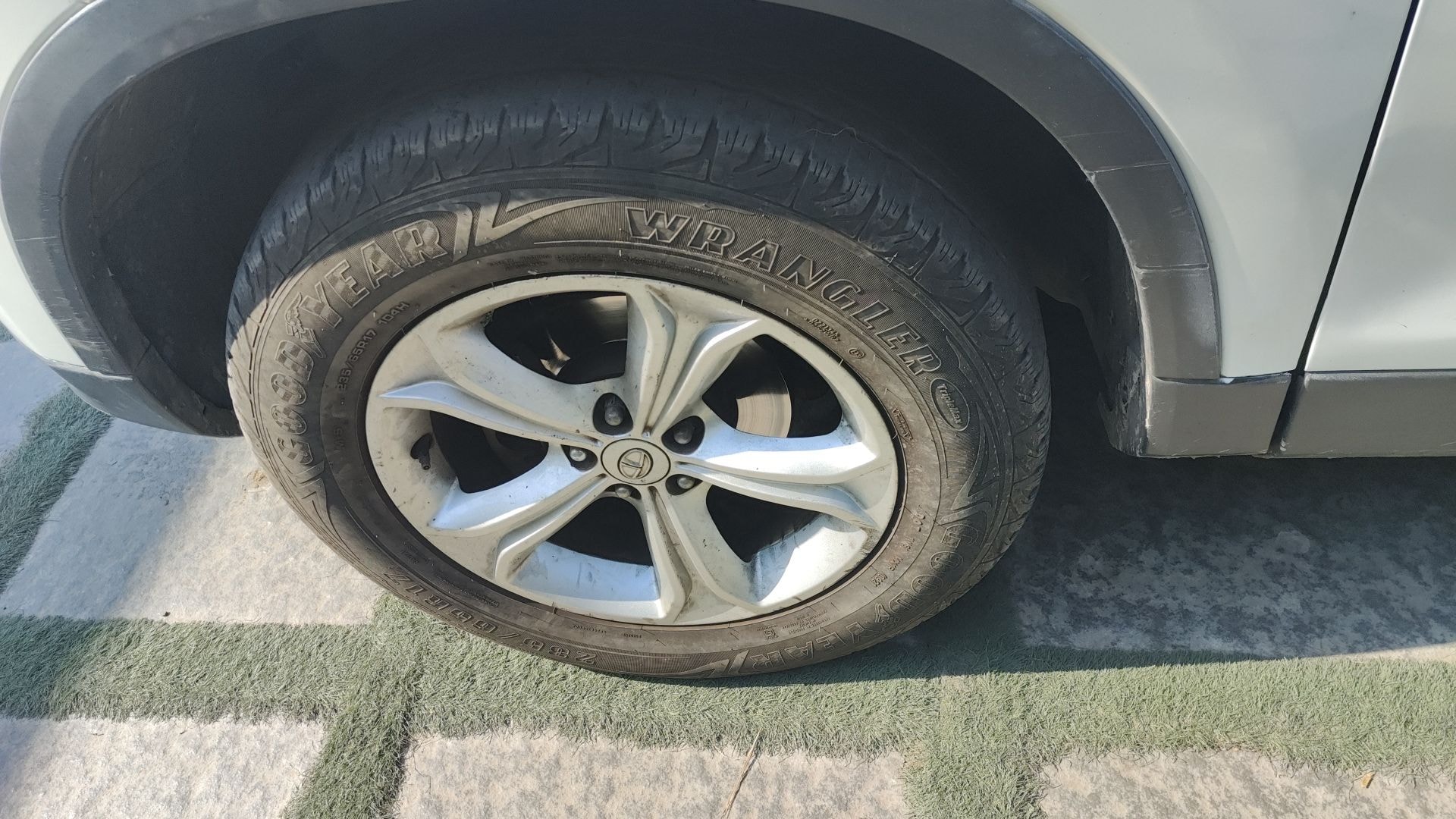 Harrier image 5 Harrier image 5