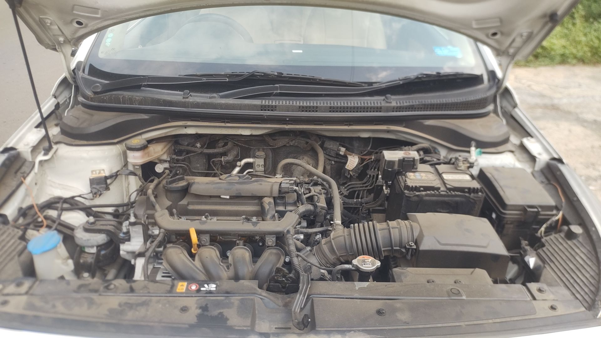 Verna image 13 Verna image 13