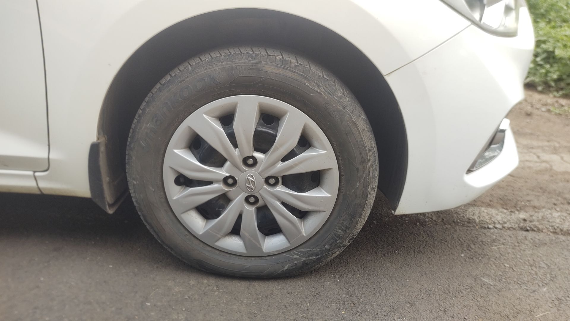 Verna image 10 Verna image 10