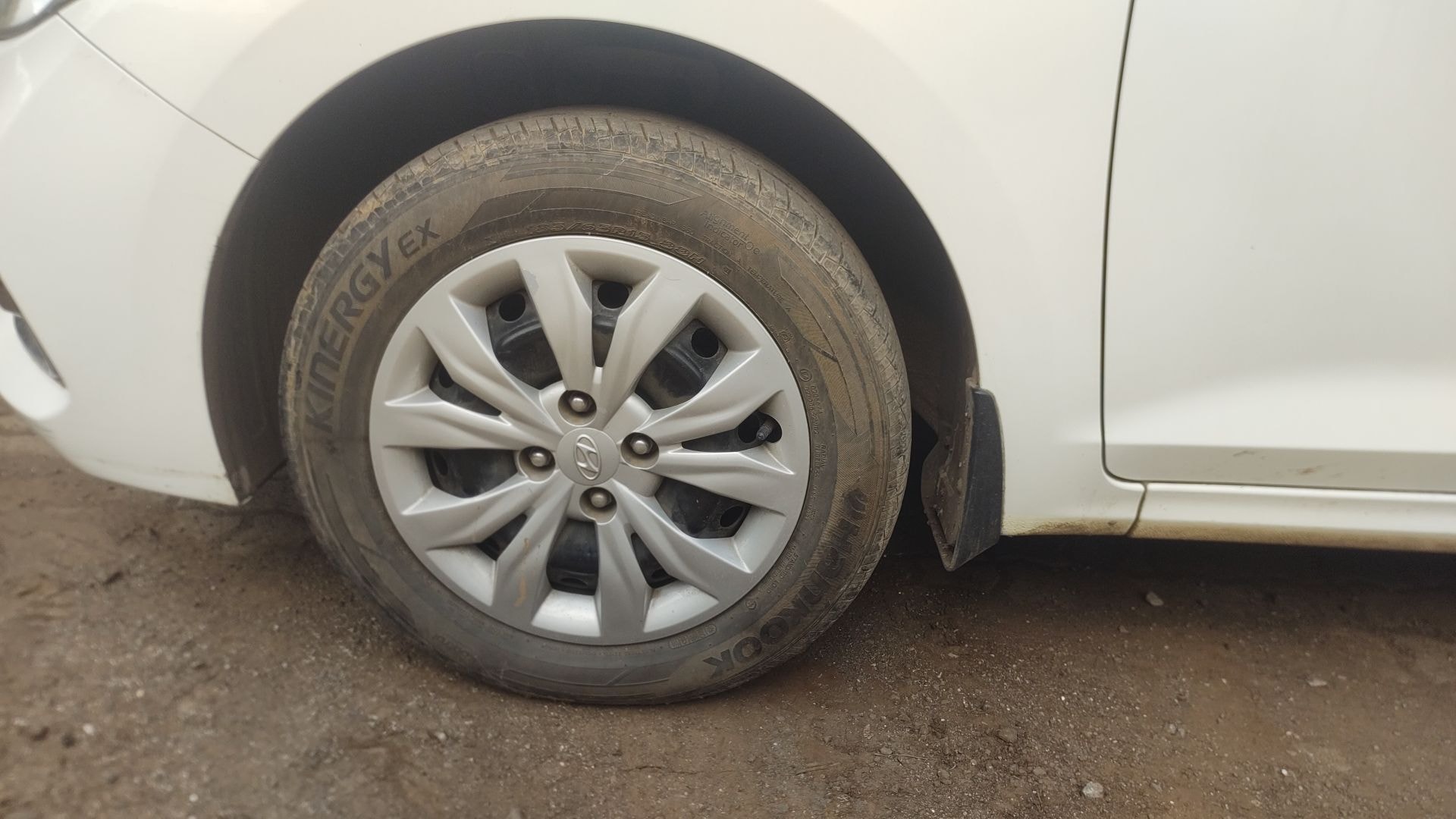 Verna image 11 Verna image 11