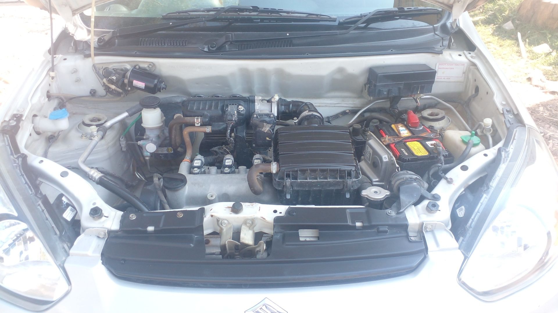 Alto 800 image 14 Alto 800 image 14