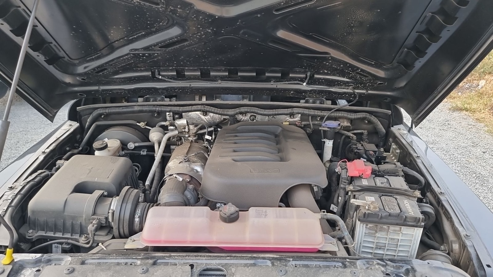 Thar image 14 Thar image 14