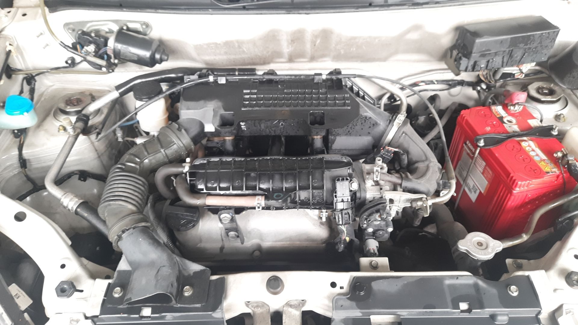 Alto 800 image 14 Alto 800 image 14