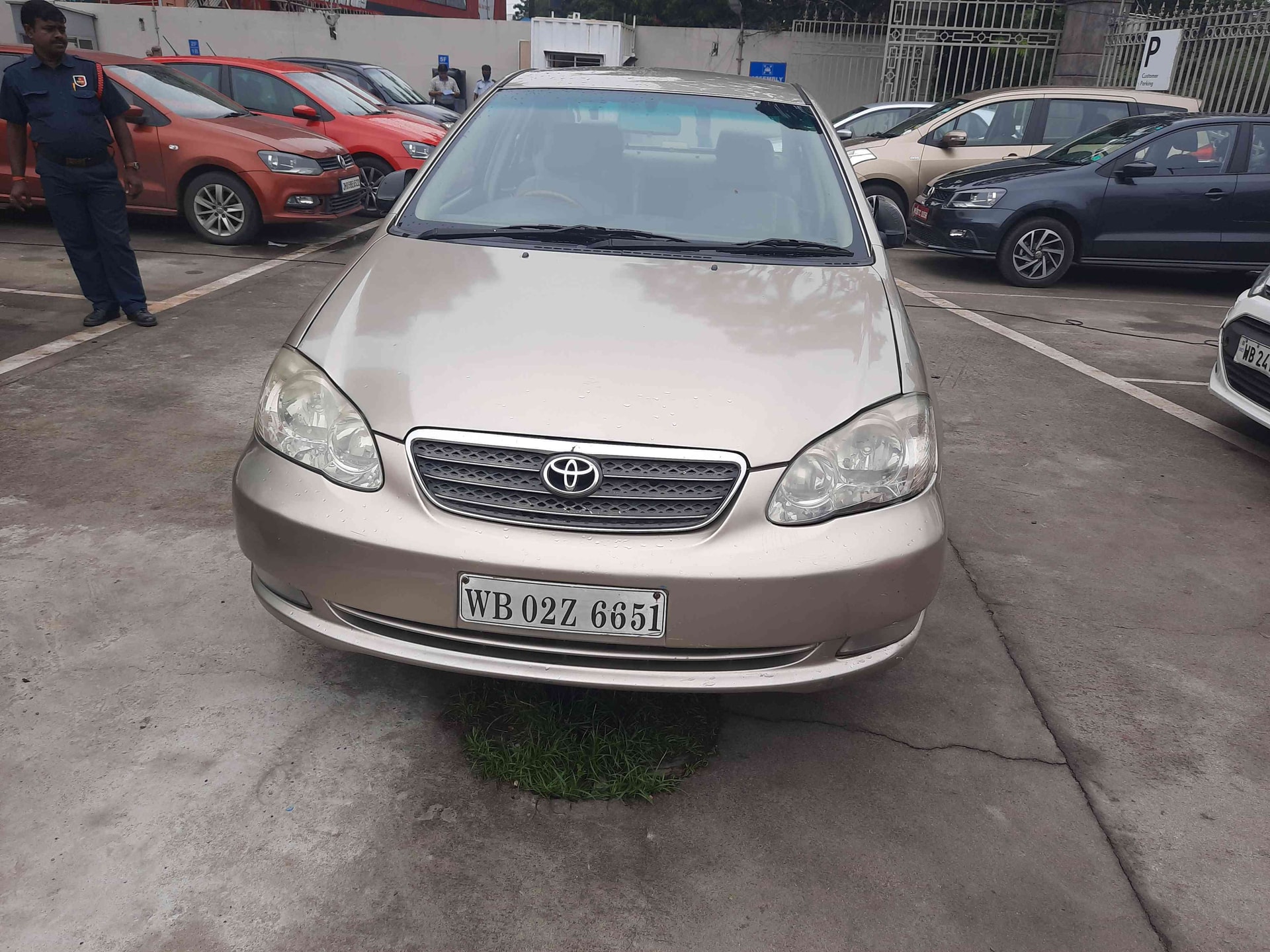 Corolla image 1 Corolla image 1