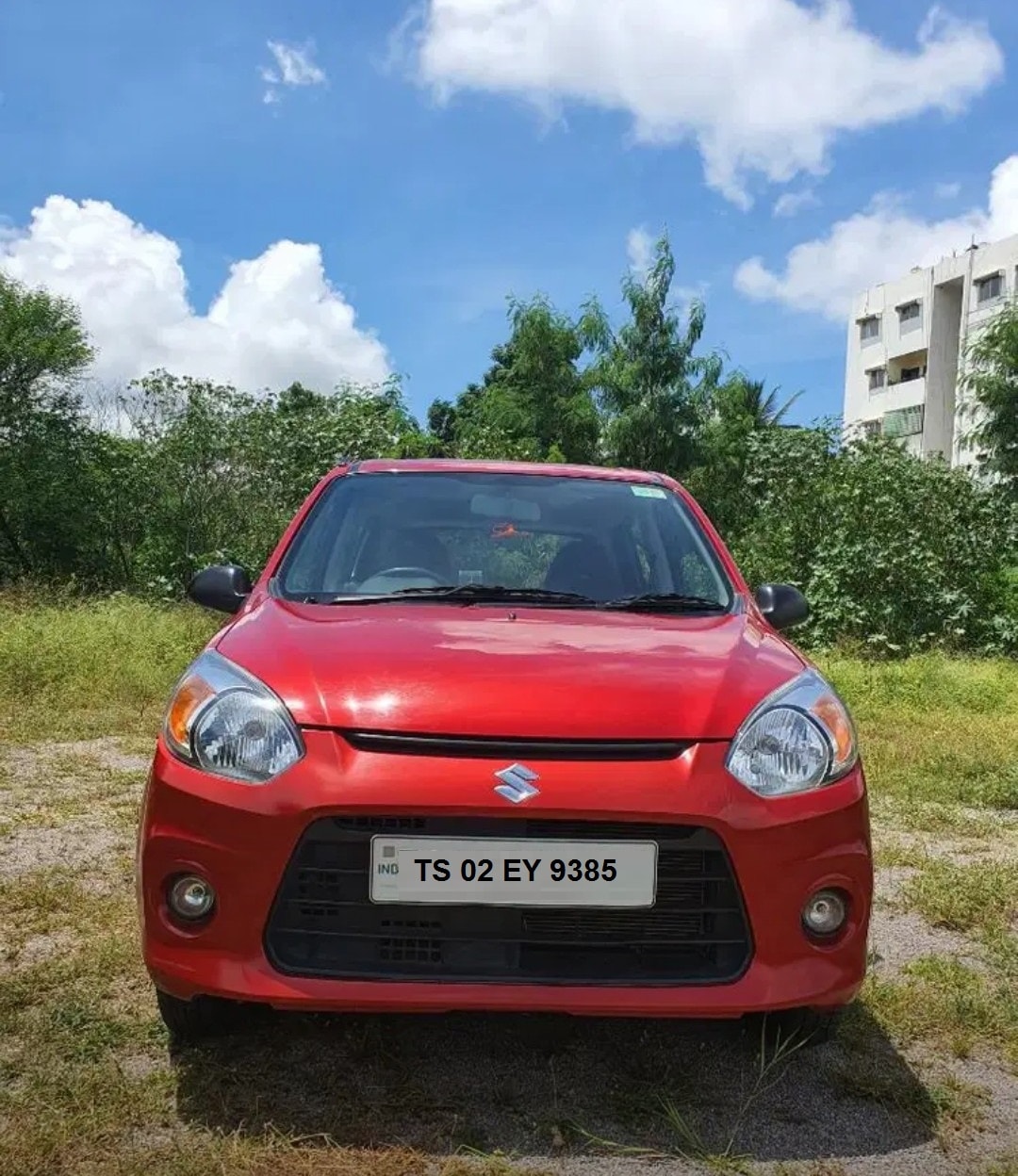 Alto 800 image 1 Alto 800 image 1