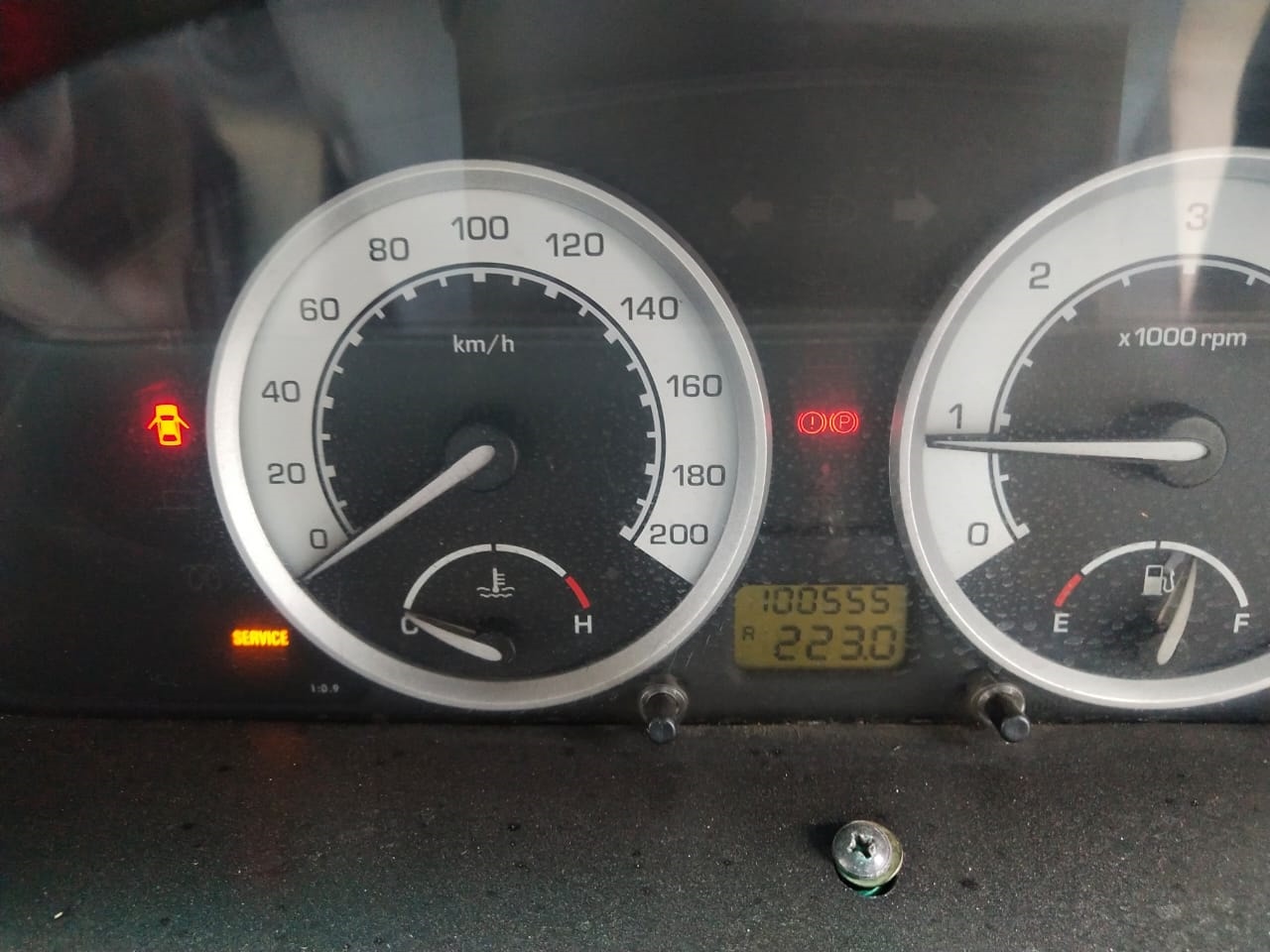 Safari image 10 Safari image 10