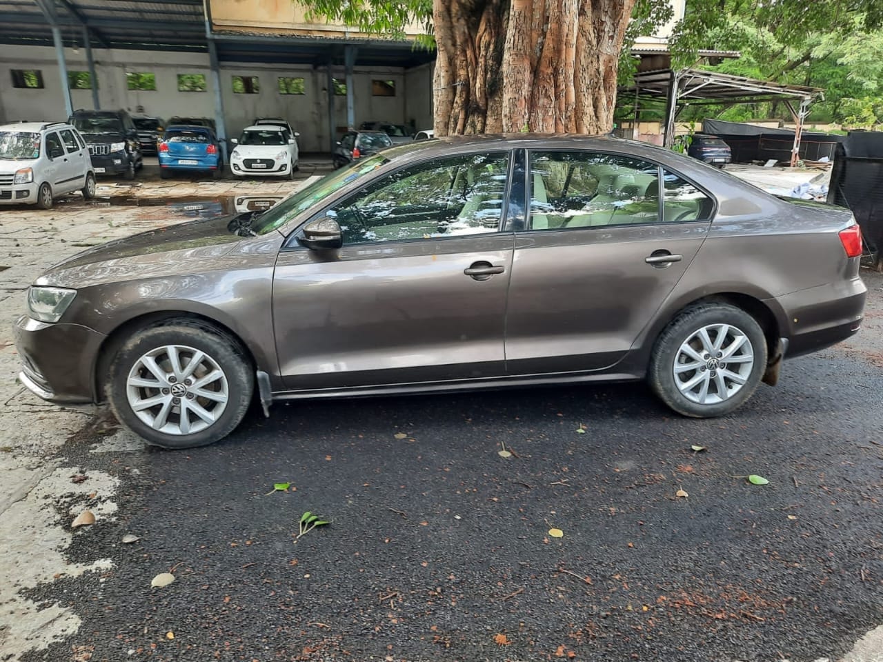 Jetta image 4 Jetta image 4